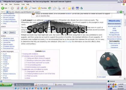 Sock Puppets!