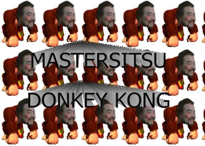 MasterSitsu Donkey Kong