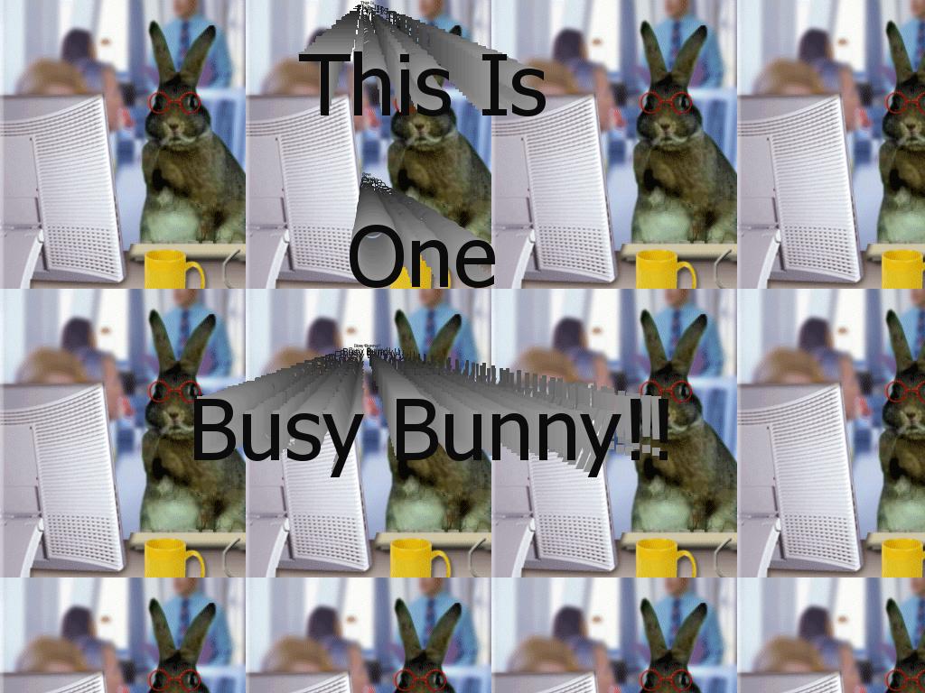 busybunny