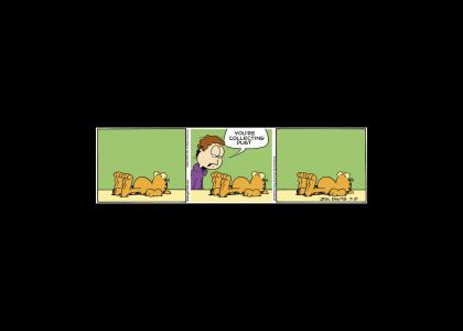 Garfield's Wake-up Call