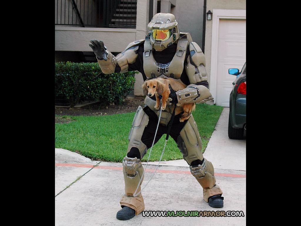 masterchiefdog