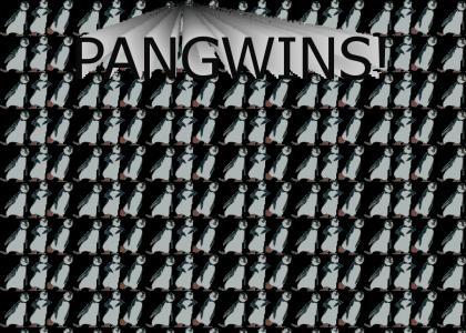 PANGWINS!
