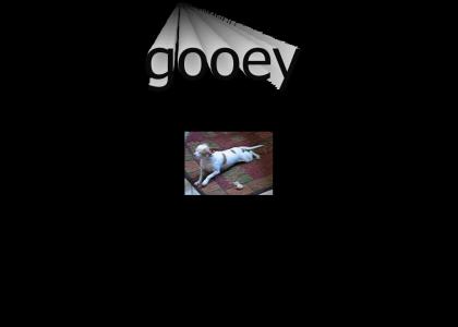 gooey