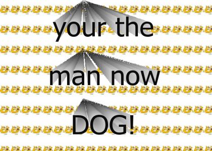 Your the man now cat dog(updated)