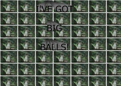 I've got the biggest balls of them all!!!