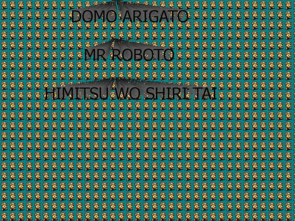 mrrobo