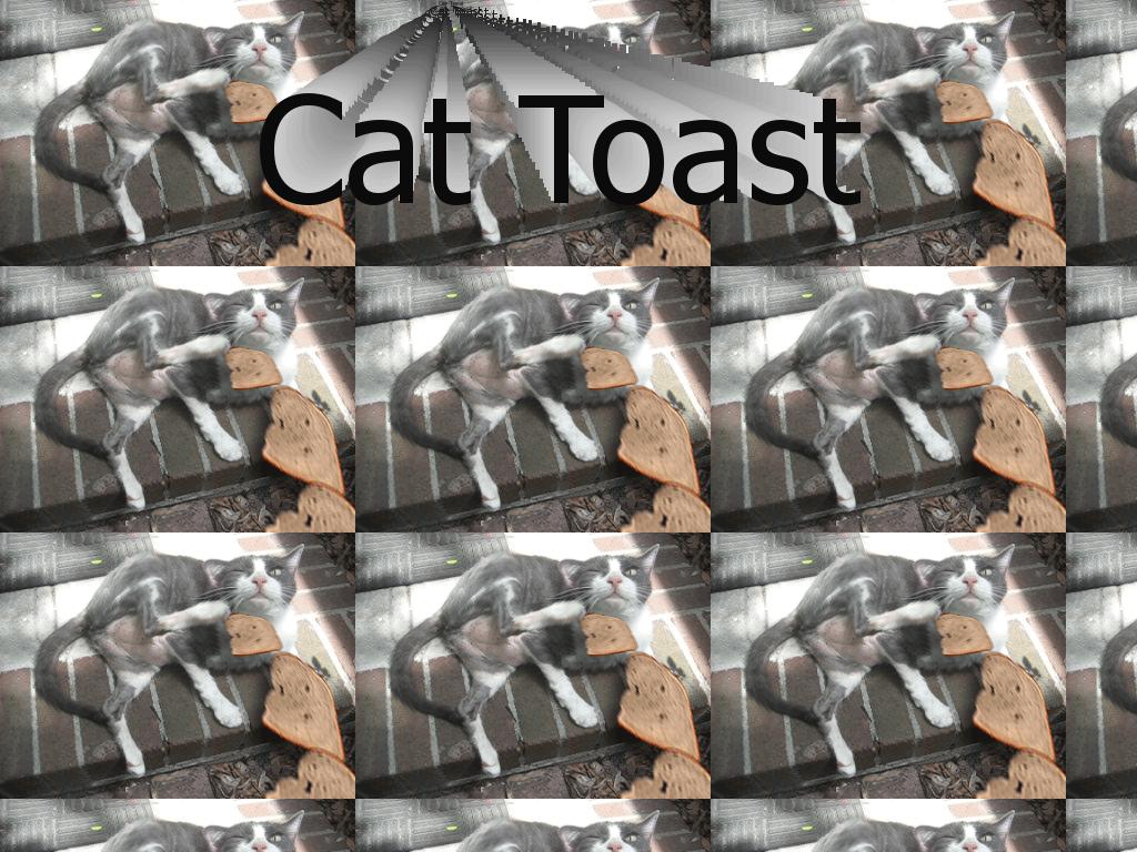 cat-toast
