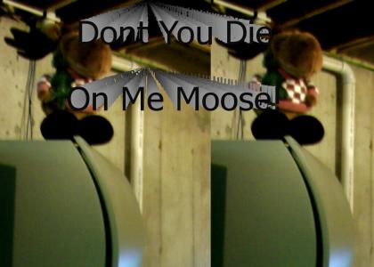 Don't You Die On Me Moose!