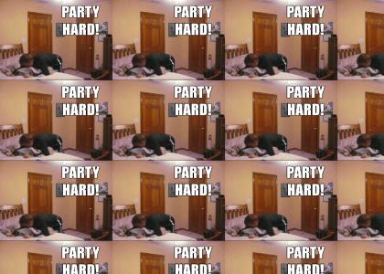 Party Hard