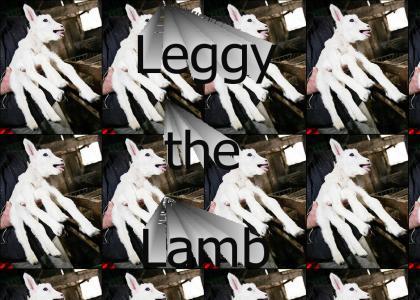 Leggy the Lamb