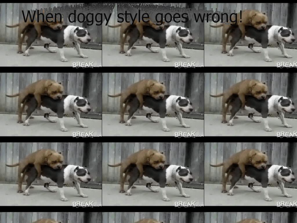 doggystylegoeswrong