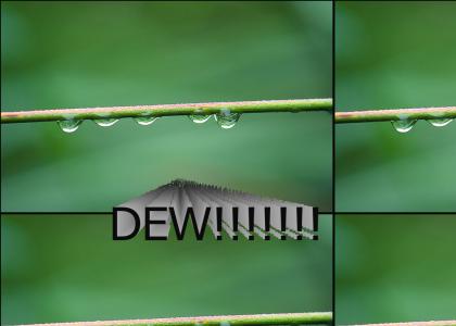 DEW!!!!!