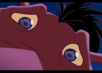 Pumbaa stares into Timon's soul