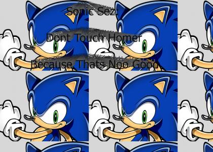 Sonic Sez: Dont Touch Homer