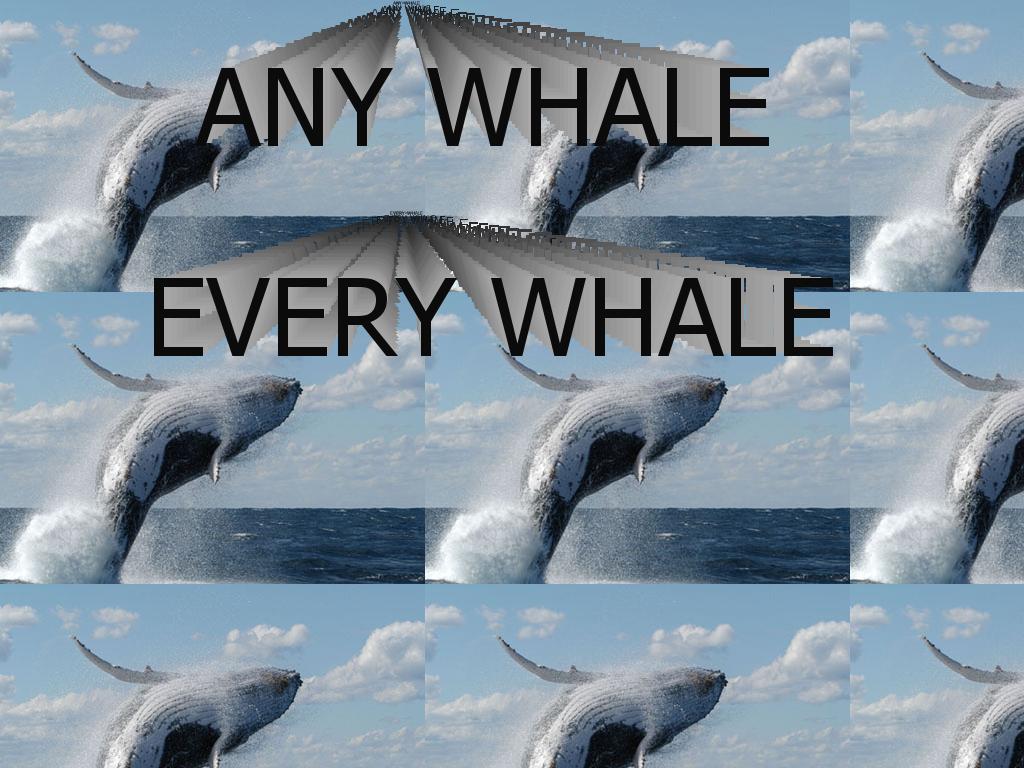 anywhale