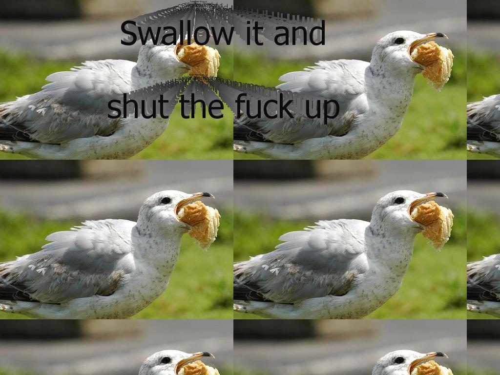 swallowitandstfu