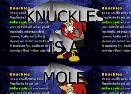 Knuckles Is a Mole (Now with Slightly Better Sound Quality™!)