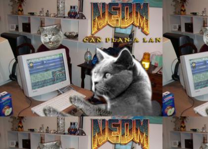 NEDM can plan a lan