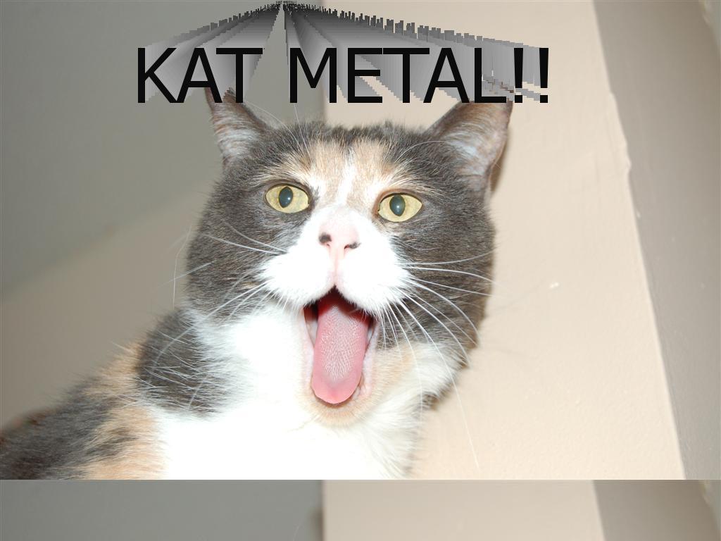 katmetal