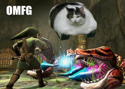 Cat Tank is obviously not amused with Link.