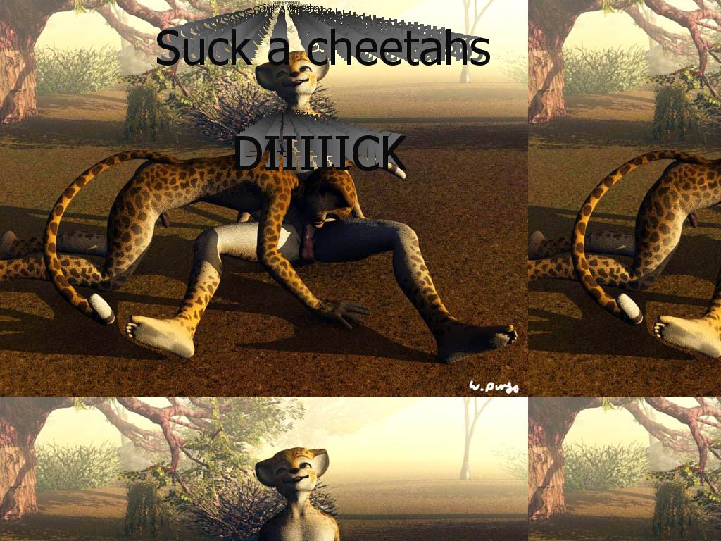 suck-a-cheetahs-dick