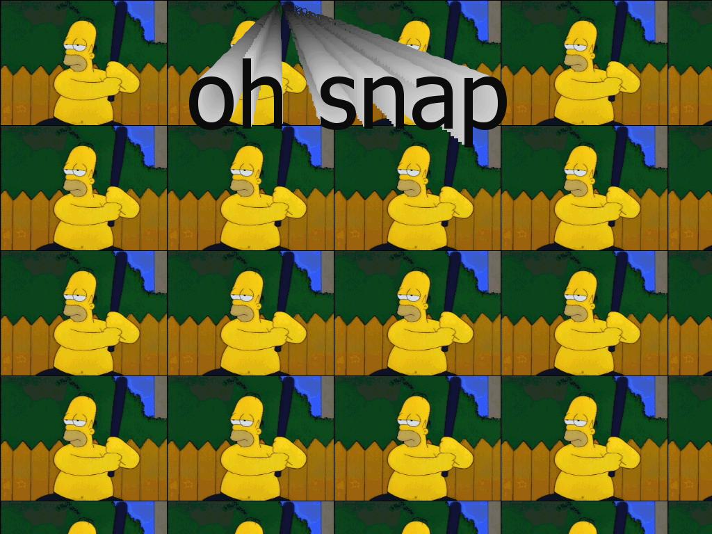 homerhassnapped