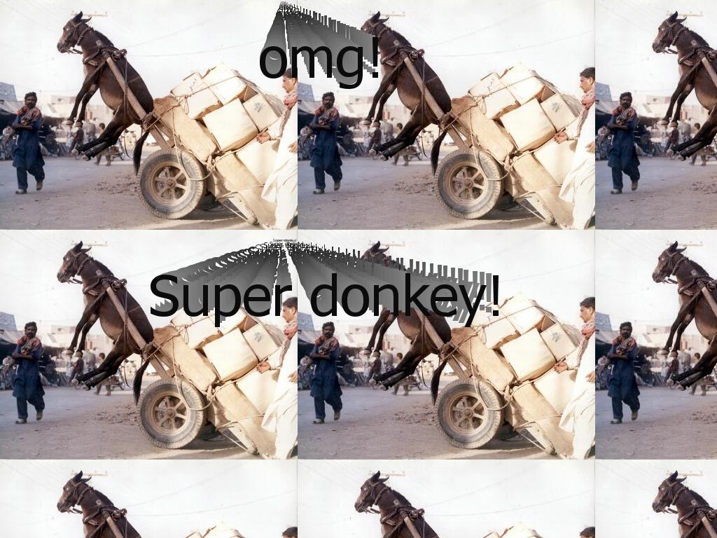 superdonkey