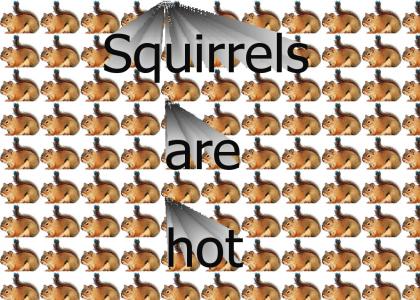 Squirrel Song
