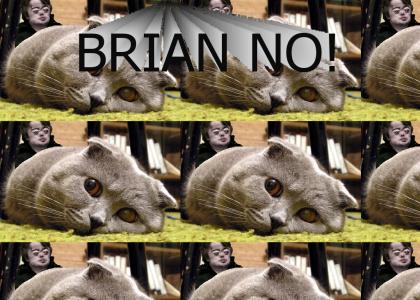 Brian! Not happycat!