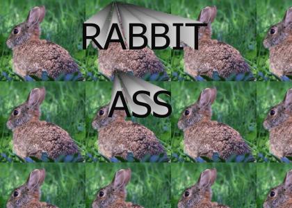 Rabbit ass.