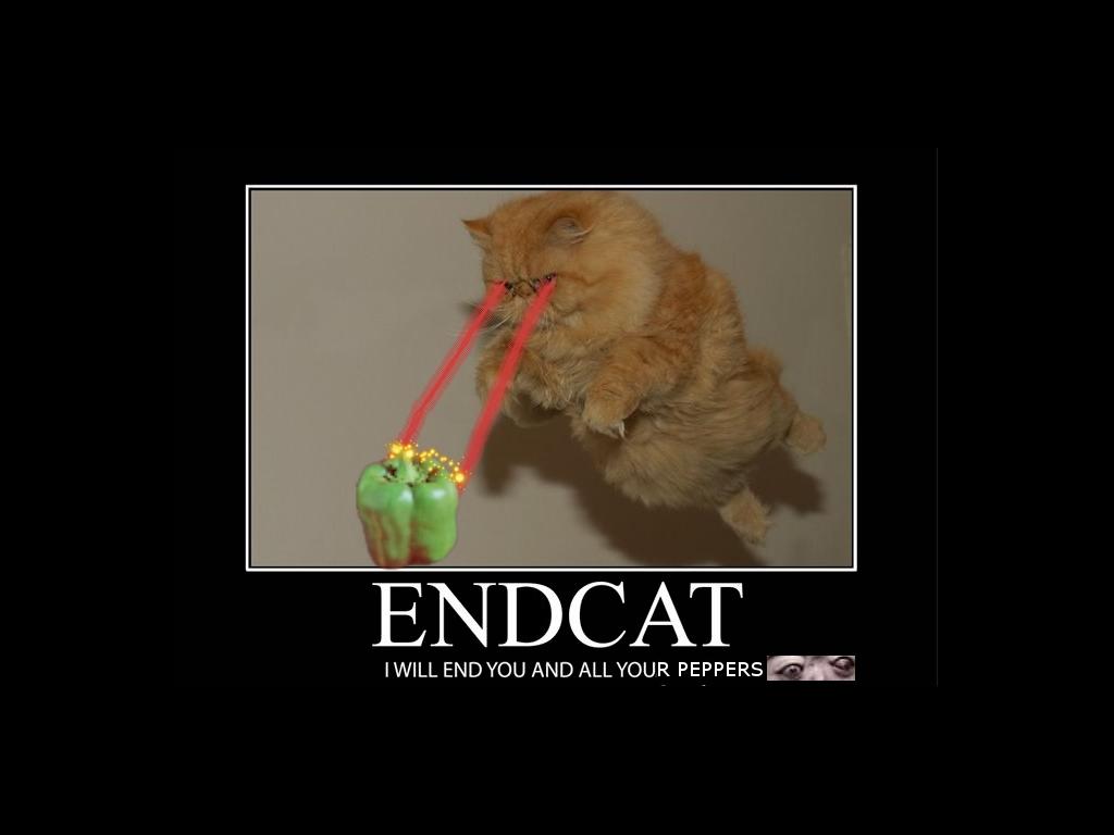 endcatpeppers
