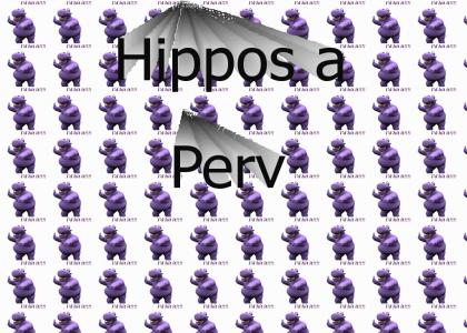 Purple Hippo Loves Stephanie
