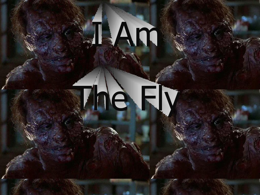 IAmTheFly