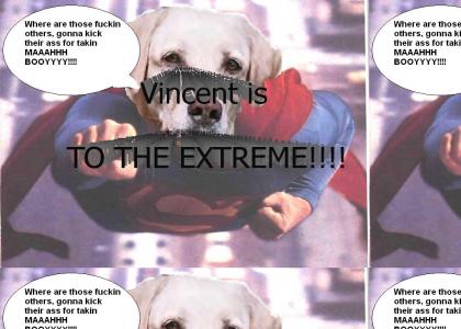 Vincent is TO THE EXTREME!!!