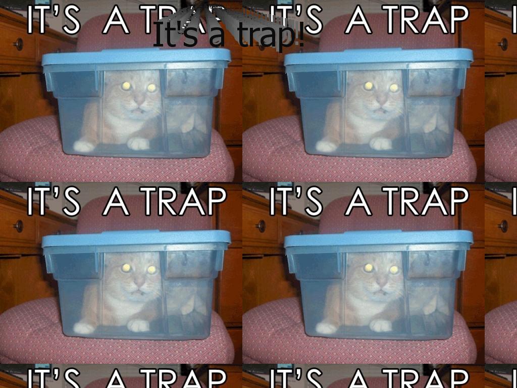 trapedcat