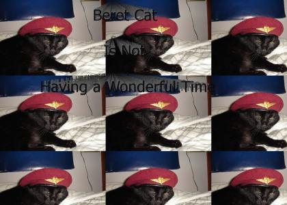 Beret Cat