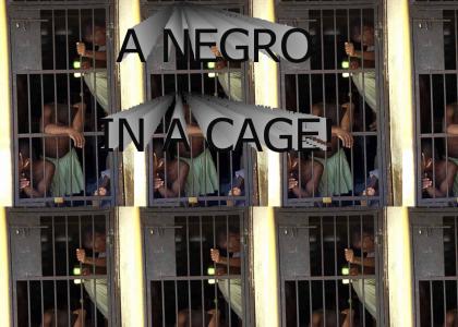 Negro in a cage!