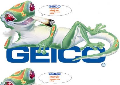 Geico! Geico, Geico! Uh-oh! *updated*