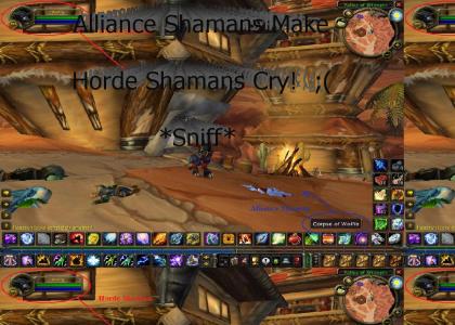 Horde Shammies Pwn Alliance