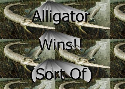 Python Vs Alligator