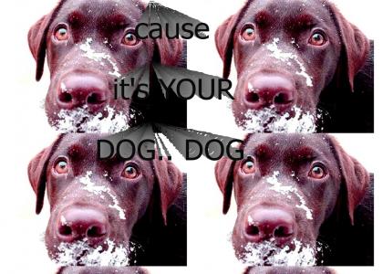 YOUR DOG