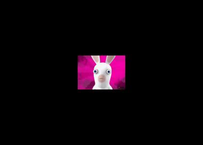 Rabbid Stares Into Your Soul