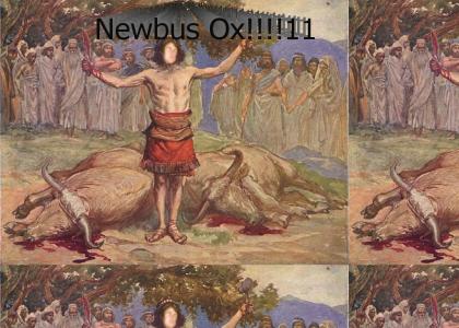 Newbus Ox