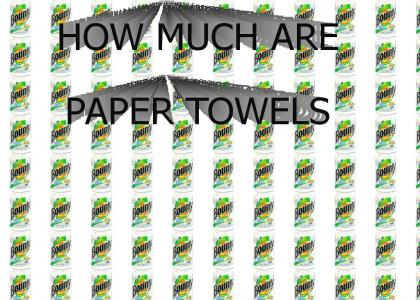 PAPER TOWELS