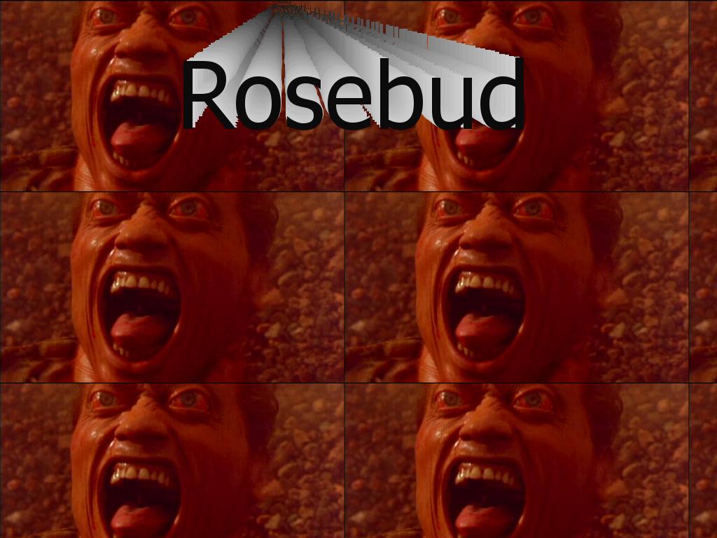 rosebudyes