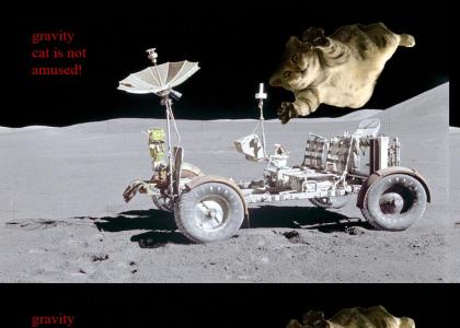 Gravity Cat Vists the Moon