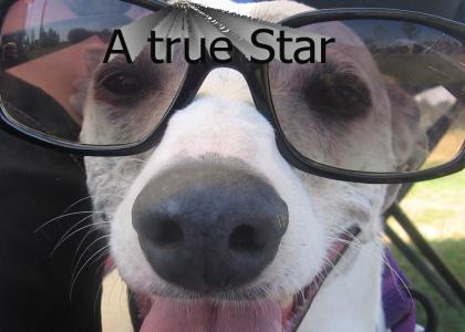 I'm a star