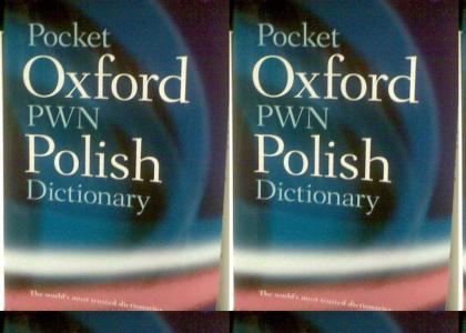 Best dictionary ever?