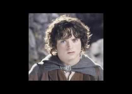 frodo stares into your soul
