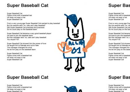 Super Baseball Cat